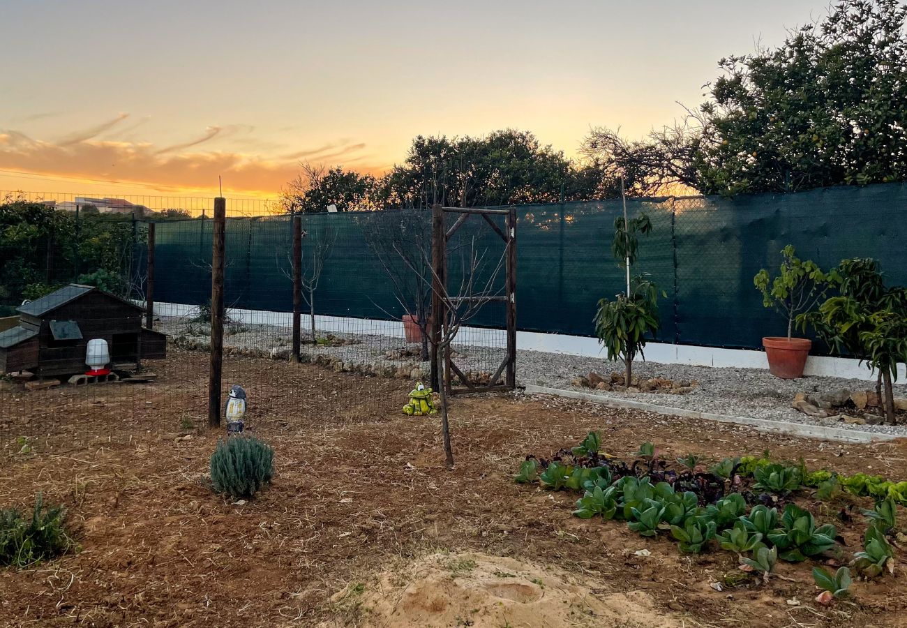 Casa rural em Albufeira - Casa Amarela - Alojamento Rural em Casa Modular