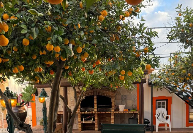 Alojamento de turismo rural em Silves - T2 nº8 Quinta Jardim das Palmeiras, Silves Alojamento de turismo rural em Silves - T2 nº8 Quinta Jardim das Palmeiras, Silves