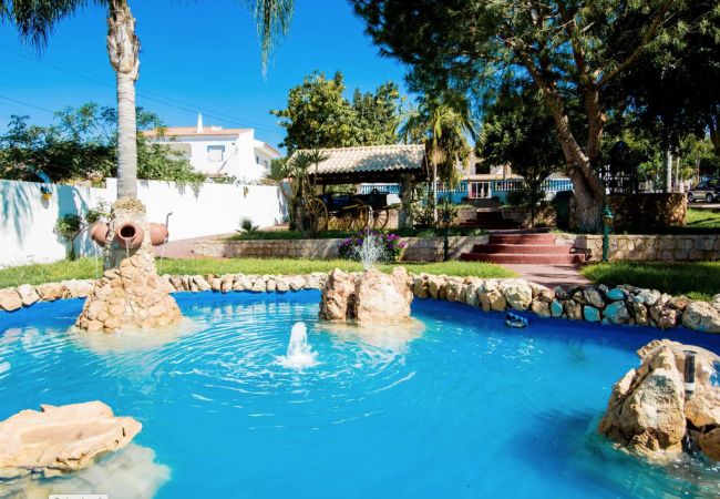 Alojamento de turismo rural em Silves - Quinta Jardim das Palmeiras, T2 nº5, Algoz Alojamento de turismo rural em Silves - Quinta Jardim das Palmeiras, T2 nº5, Algoz