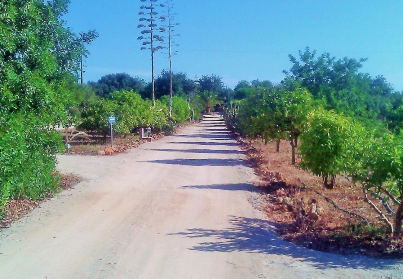 Villa em Guia - Quinta Casalinho