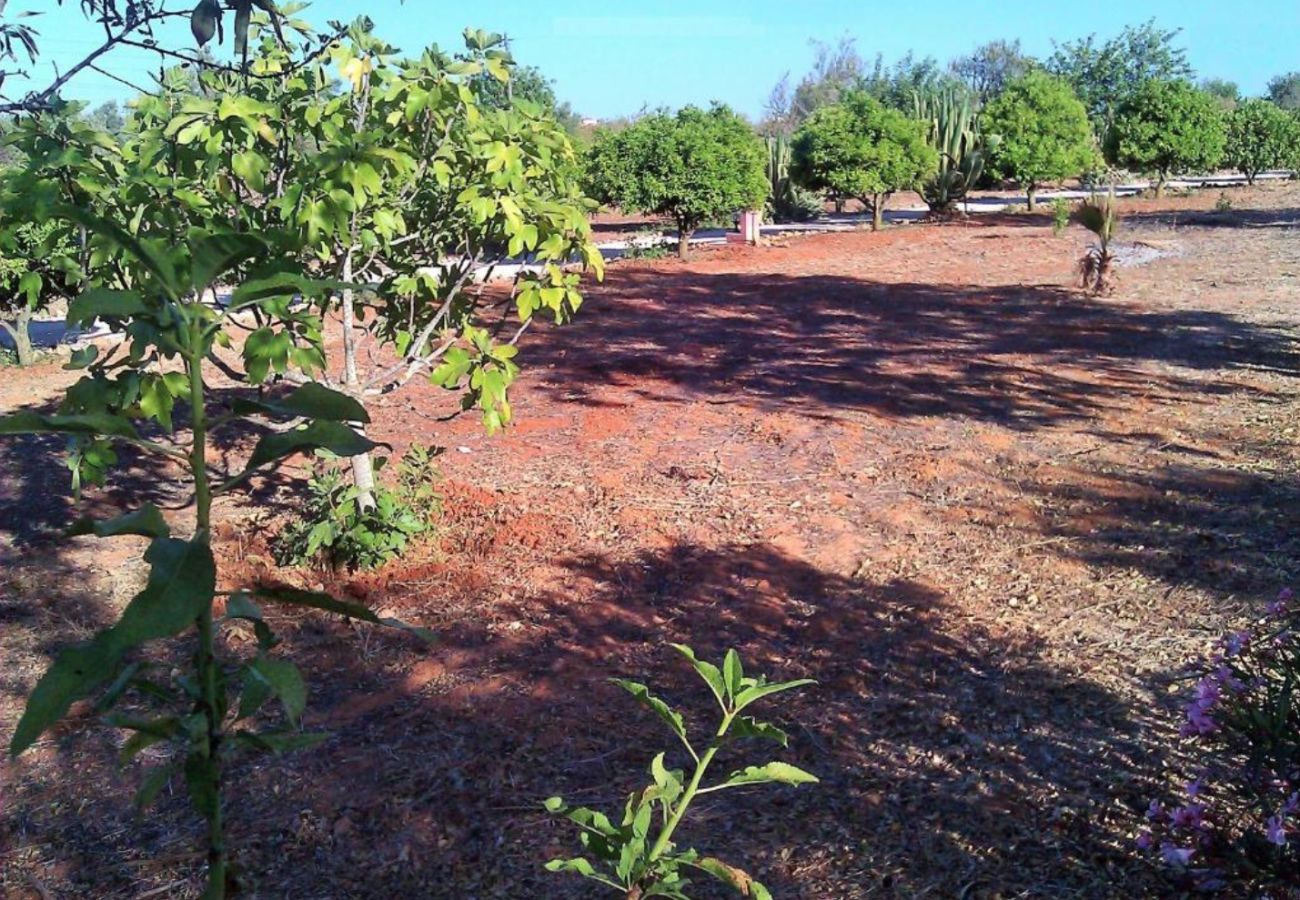 Villa em Guia - Quinta Casalinho