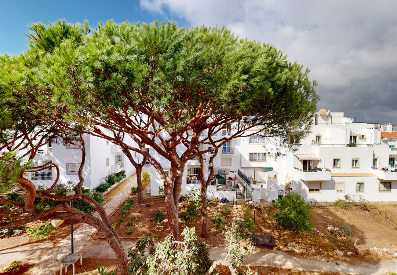 Apartamento em Albufeira - Apartamento T1 Açoteias-Falesia