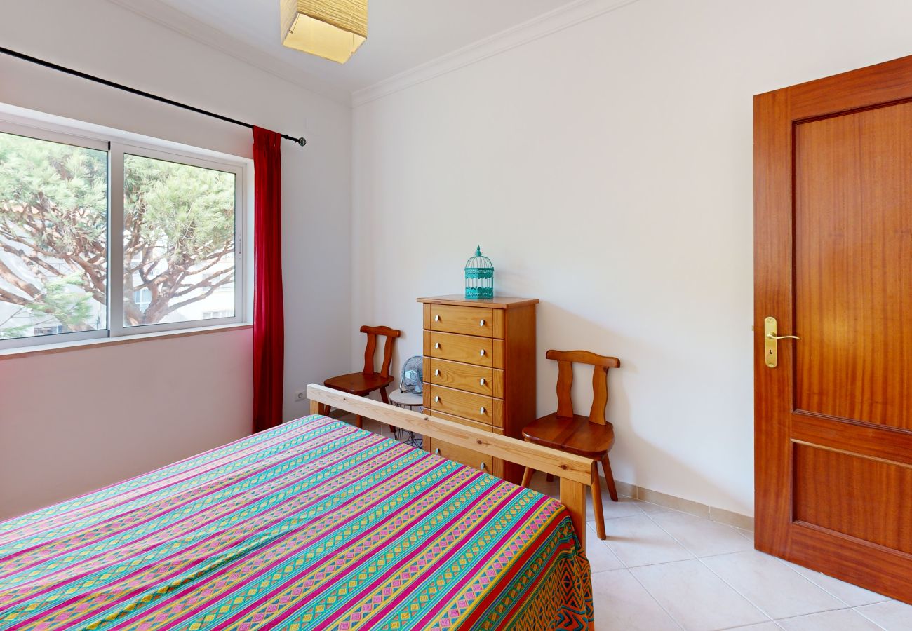 Apartamento em Albufeira - Apartamento T1 Açoteias-Falesia