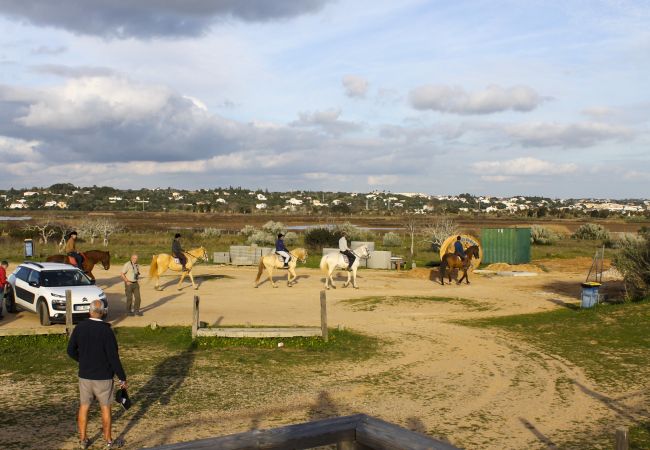 Apartment in Pêra - Condomínio Vilita, T1-Lt-5,F, piscina, campo de ténis e churrasqueira, Pêra-Silves Apartment in Pêra - Condomínio Vilita, T1-Lt-5,F, piscina, campo de ténis e churrasqueira, Pêra-Silves