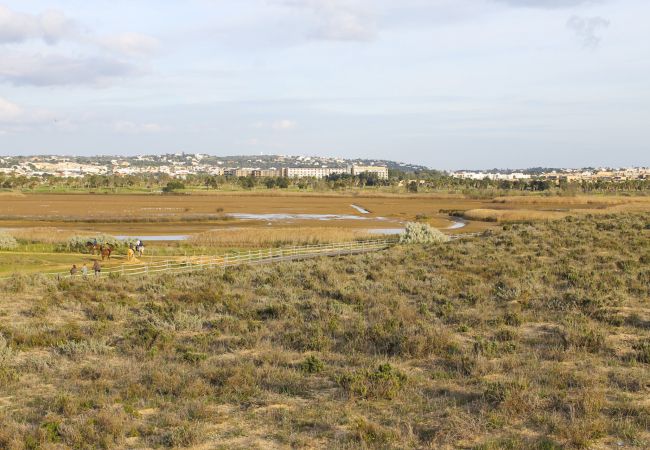 Apartment in Pêra - Condomínio Vilita, T1-Lt-5,F, piscina, campo de ténis e churrasqueira, Pêra-Silves Apartment in Pêra - Condomínio Vilita, T1-Lt-5,F, piscina, campo de ténis e churrasqueira, Pêra-Silves