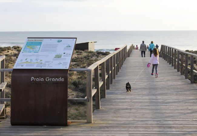 Apartment in Pêra - Condomínio Vilita, T1-Lt-5,F, piscina, campo de ténis e churrasqueira, Pêra-Silves Apartment in Pêra - Condomínio Vilita, T1-Lt-5,F, piscina, campo de ténis e churrasqueira, Pêra-Silves