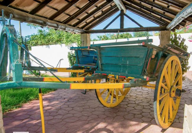 Farm stay in Silves - Quinta Jardim das Palmeiras, T2 nº3, Algoz Farm stay in Silves - Quinta Jardim das Palmeiras, T2 nº3, Algoz