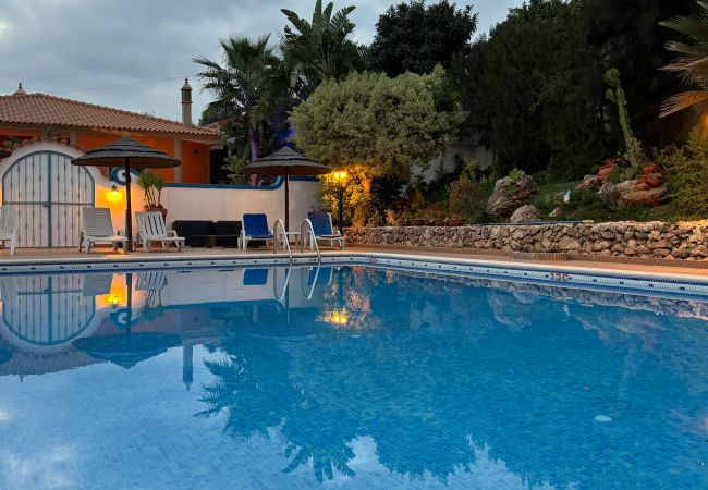 Silves - Farm stay