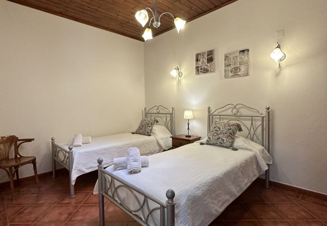 Farm stay in Silves - T2 nº8 Quinta Jardim das Palmeiras, Silves Farm stay in Silves - T2 nº8 Quinta Jardim das Palmeiras, Silves