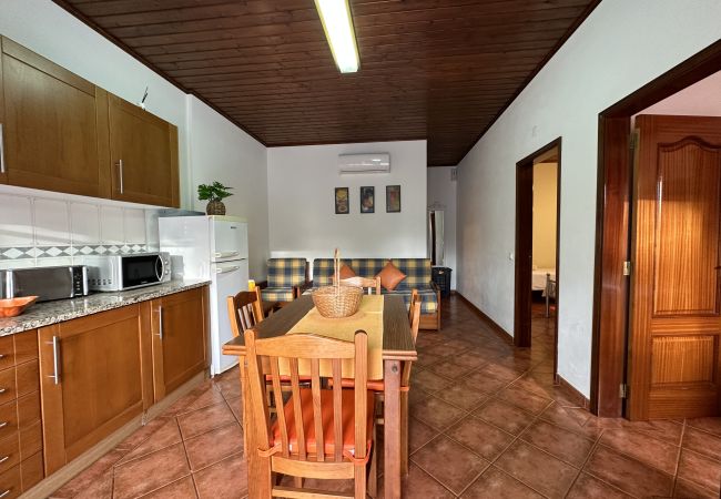 Farm stay in Silves - T2 nº8 Quinta Jardim das Palmeiras, Silves Farm stay in Silves - T2 nº8 Quinta Jardim das Palmeiras, Silves