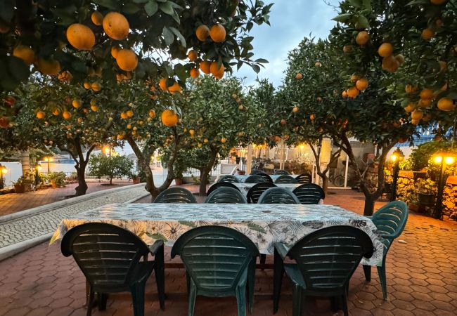 Farm stay in Silves - T2 nº8 Quinta Jardim das Palmeiras, Silves