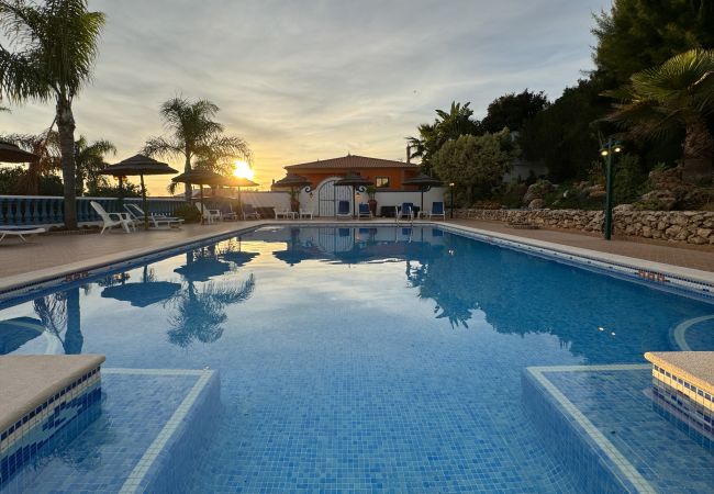 Farm stay in Silves - T2 nº8 Quinta Jardim das Palmeiras, Silves