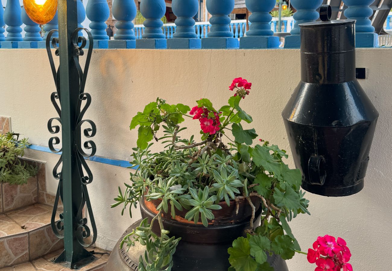Farm stay in Silves - Quinta Jardim das Palmeiras, T2 nº5, Algoz
