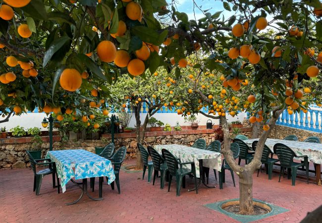 Farm stay in Silves - Quinta Jardim das Palmeiras, T2 nº2, Algoz