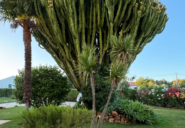 Villa in Alcantarilha - Casa Ventura, V6 em Alcantarilha Villa in Alcantarilha - Casa Ventura, V6 em Alcantarilha