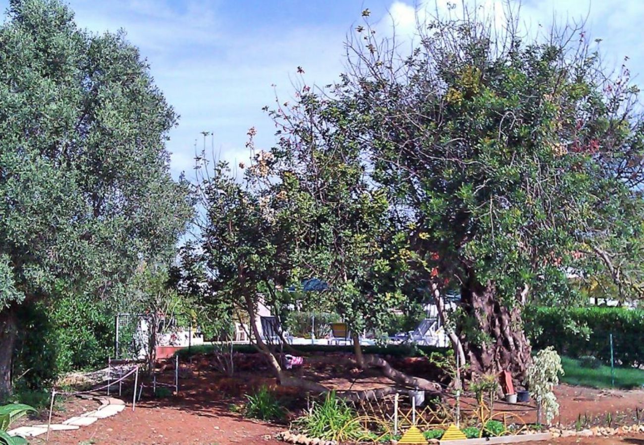 Villa in Guia - Quinta Casalinho