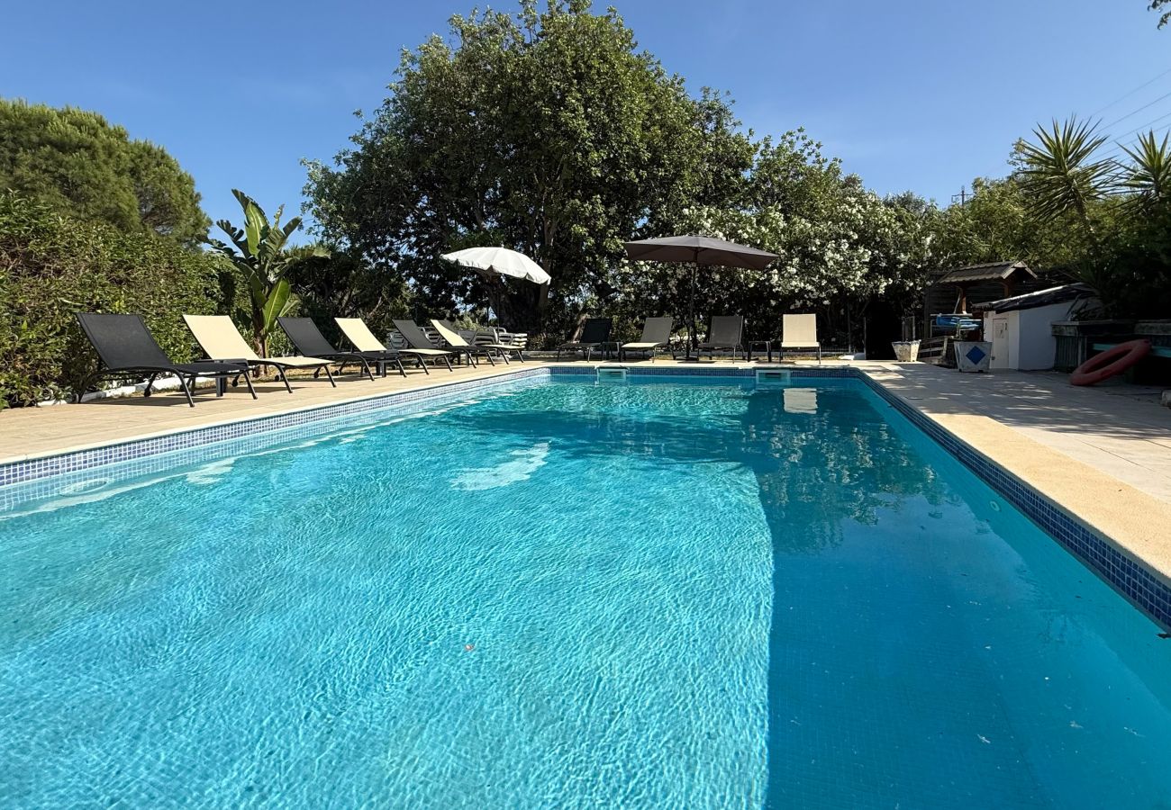 Farm stay in Guia - Quinta Casalinho - T2 Oura