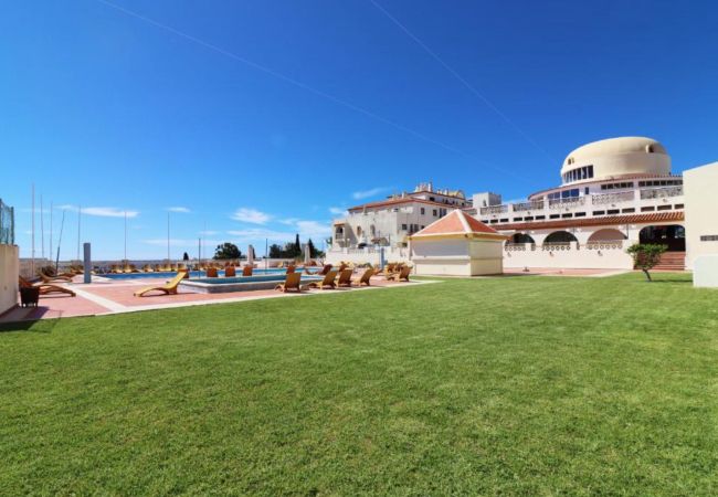 Apartment in Albufeira - Apartamento Studio dos Golfinhos  Apartment in Albufeira - Apartamento Studio dos Golfinhos